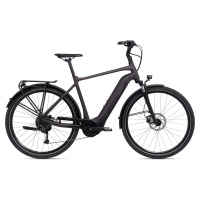 MY22DailyTourEplus3DerailleurGTSRosewood