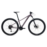 MY22Tempt293-GESPurpleAsh