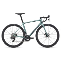 MY23TCRAdvanced1plusDisc-ARColorA MistyForest