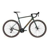 SBIKARRID227 image 2048x