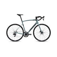 SBIFENRID114 image 2048x