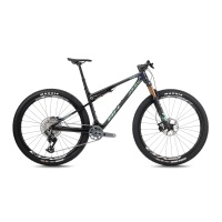 ds856 ngv n1